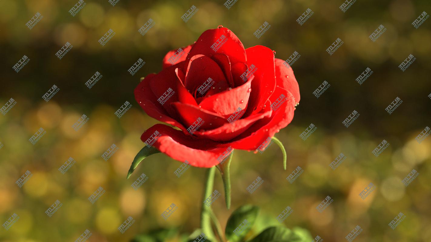 images/goods_img/20210114/Rose animated 3D model/3.jpg
